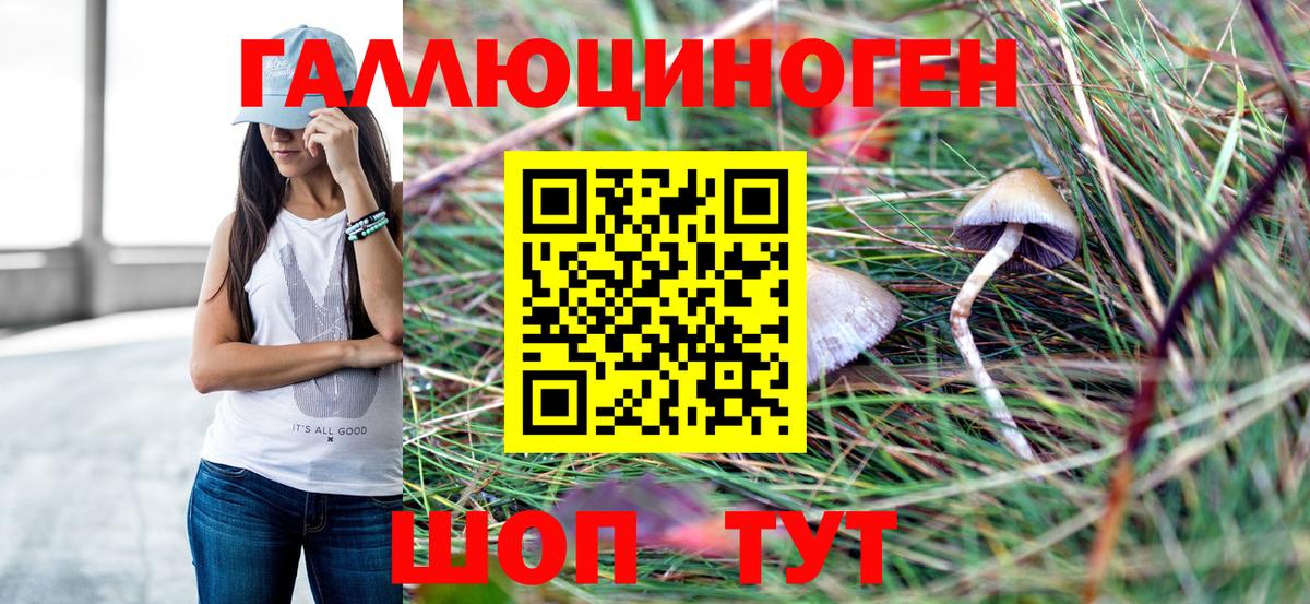 Галлюциногенные грибы MAGIC MUSHROOMS Белово