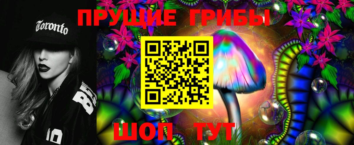 Псилоцибиновые грибы Psilocybe  цены наркотик  Белово  Вход с VPN 
