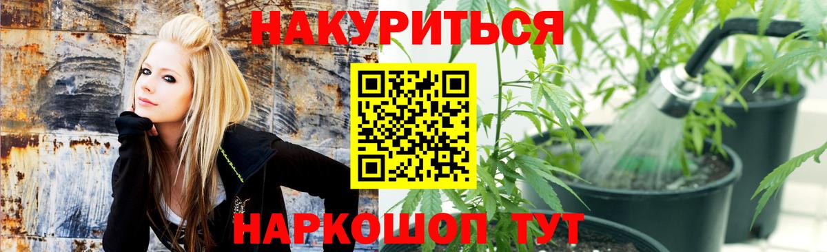Шишки марихуана сатива  Марихуана марихуана  Вход с VPN  Белово 